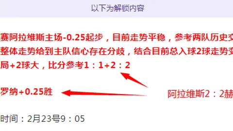 博塔弗戈vs克鲁塞罗：三冠王征途，激战正酣！